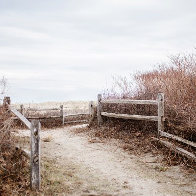 365 Project: Week 9